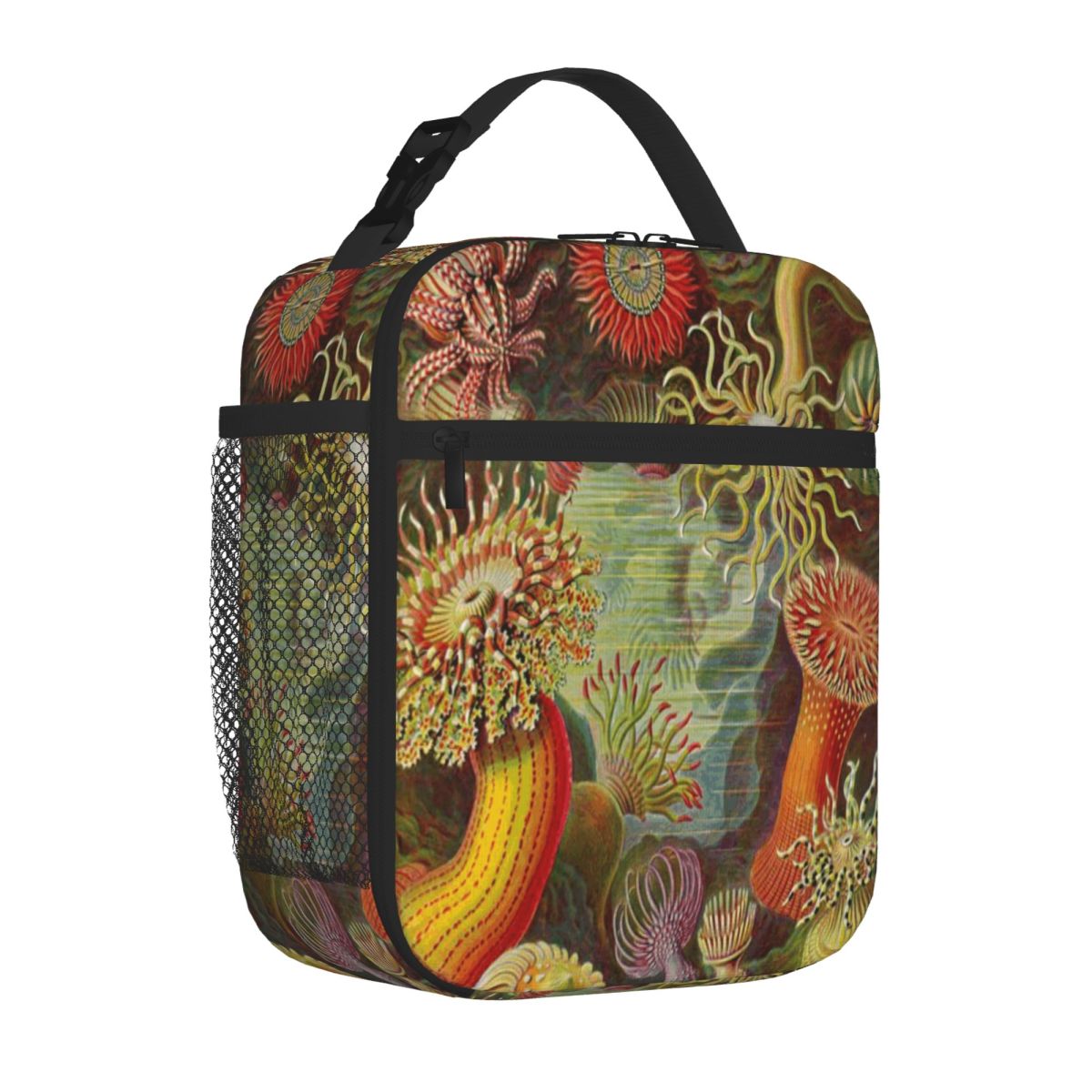 Hot Sale Sea Anemone - Ernst H - Meal Prep Diet recension och pris
