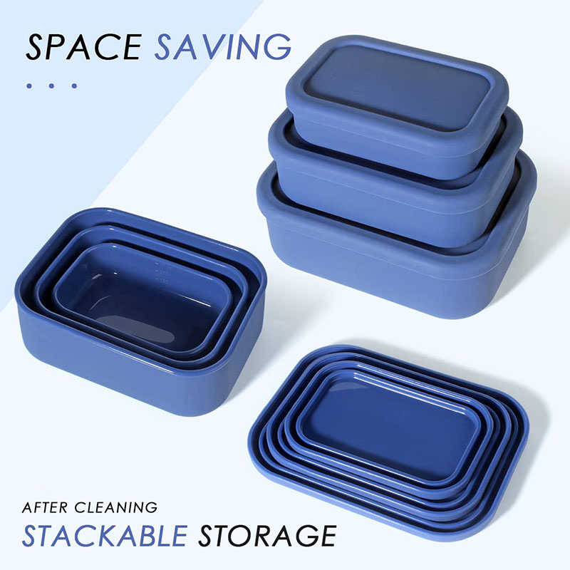 Leak-Resistant Bento Lunch Box - Meal Prep Meal Ideas recension och pris