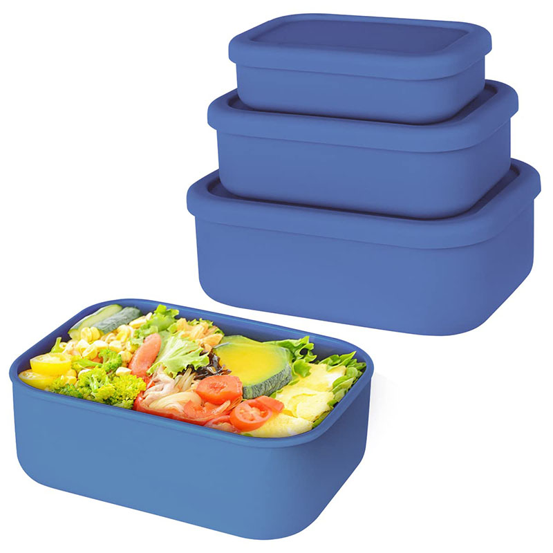 Leak-Resistant Bento Lunch Box - Meal Prep Meal Ideas recension och pris