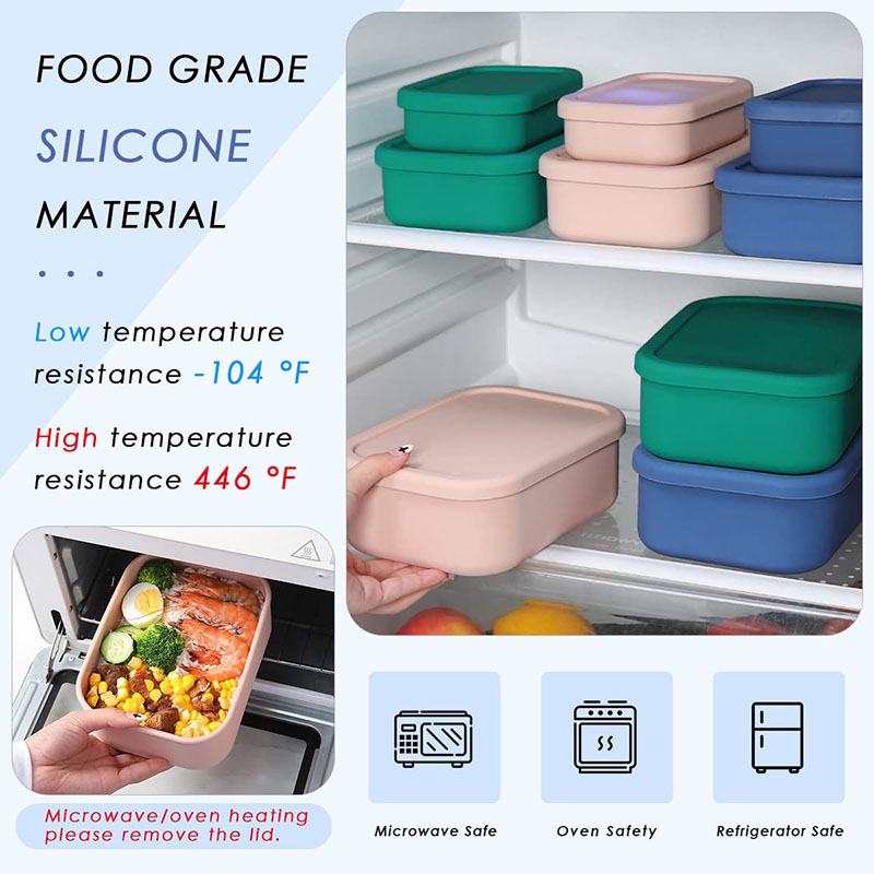 Leak-Resistant Bento Lunch Box - Meal Prep Meal Ideas recension och pris